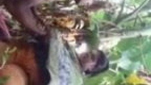 Bangladeshi couple sex in banana garden